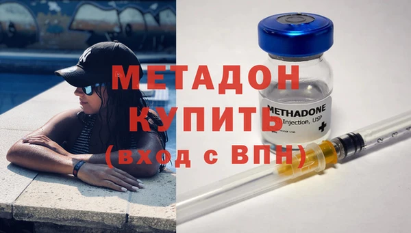 сатива Арсеньев