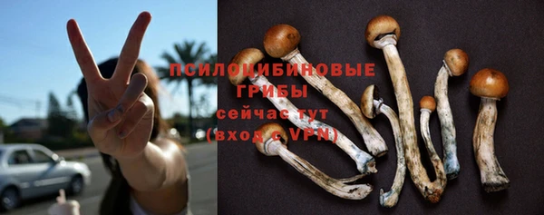 соль курить ск Аркадак