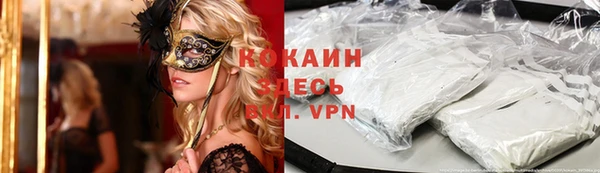 сатива Арсеньев