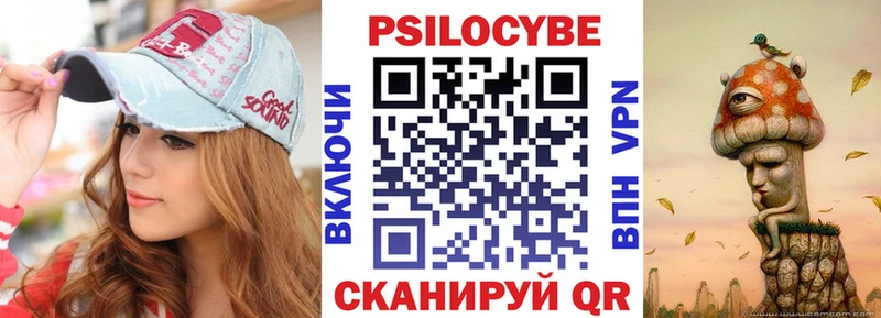 Псилоцибиновые грибы Cubensis  магазин продажи   Мариинский Посад 